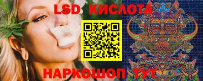 гашик Донской