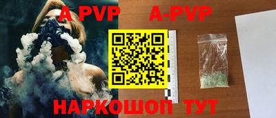 гашик Донской