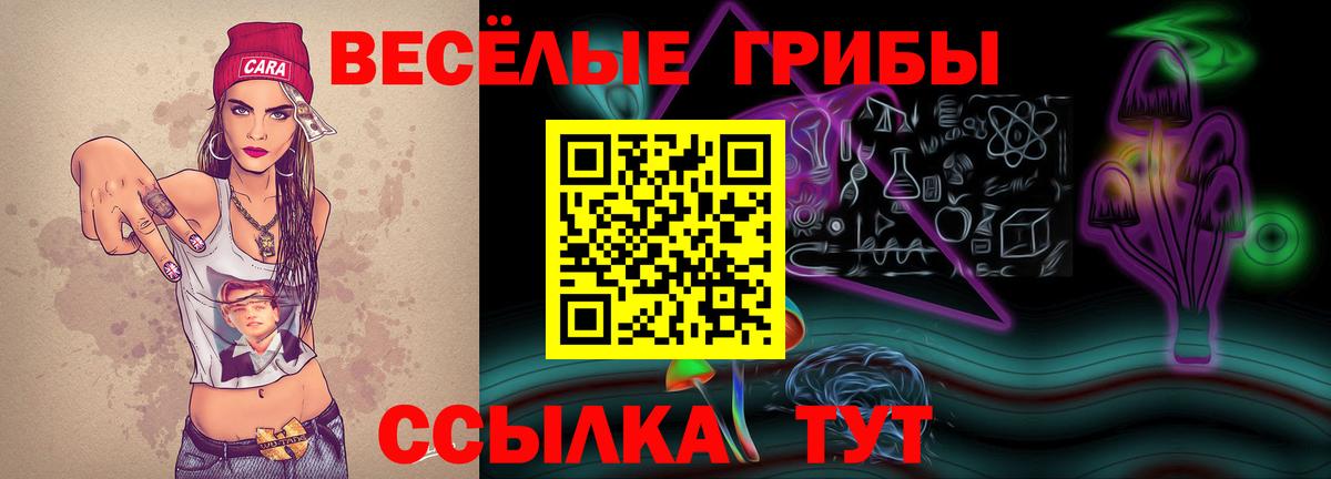 Котельники  Галлюциногенные грибы Psilocybe  Вход с VPN 